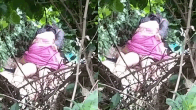 ရည်းစားဖြစ်ခါစ ခြုံထဲလိုးတဲ့ စုံတွဲ