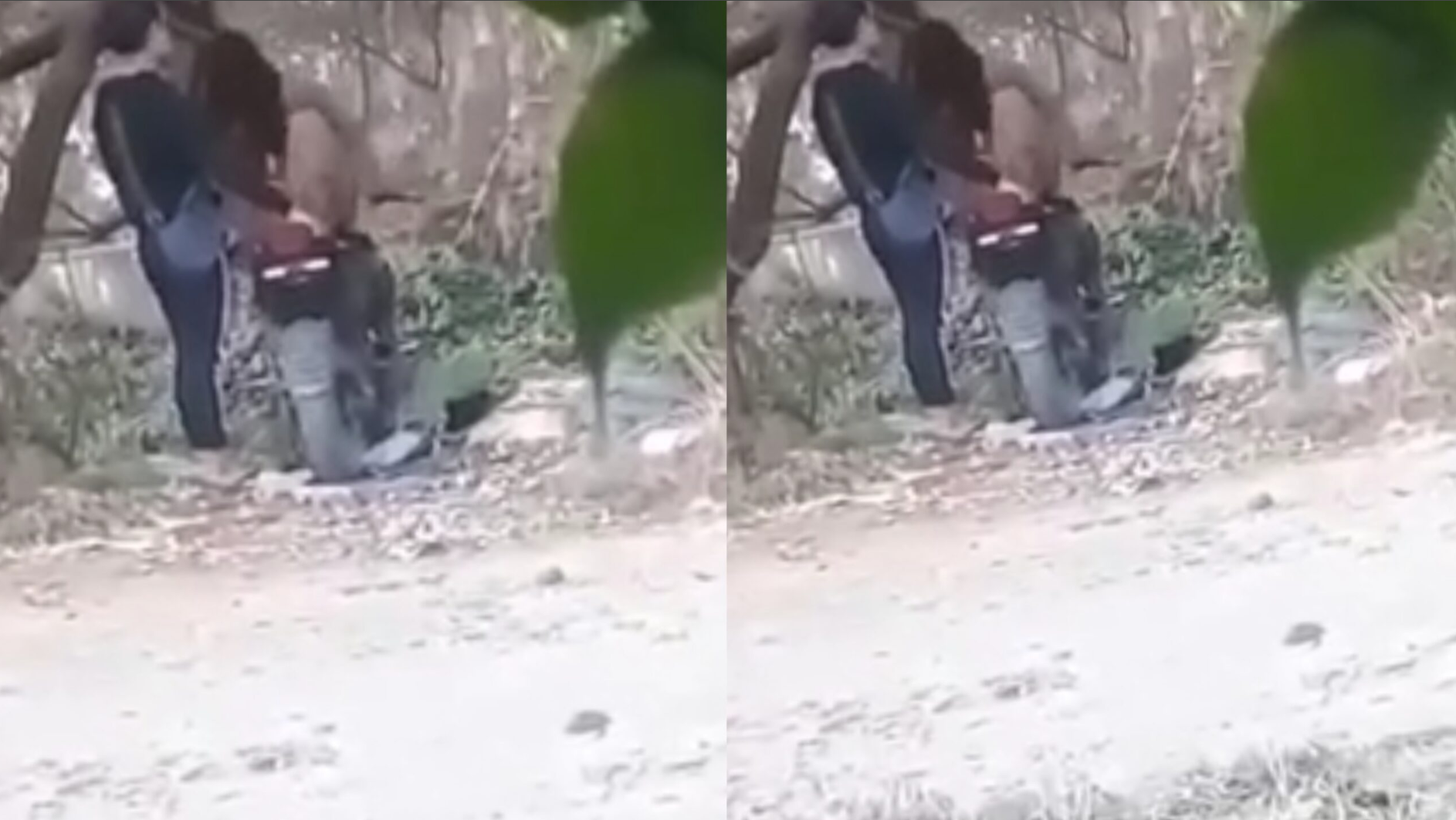 လူရှင်းတုန်း ဆိုင်ကယ်ပေါ် ဗျင်း