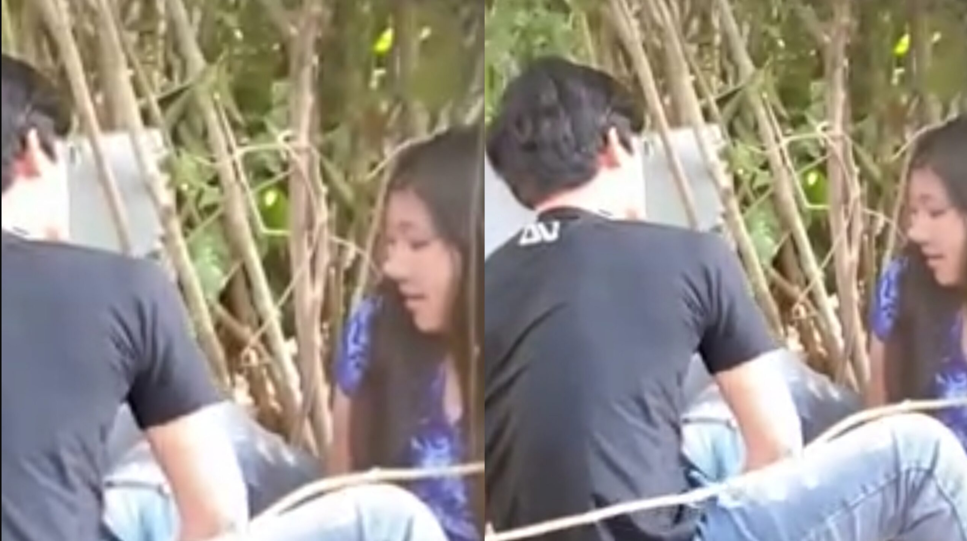 ခြုံတိုးရင်း ရှယ်တွယ်တဲ့ စားဘဲကြီး