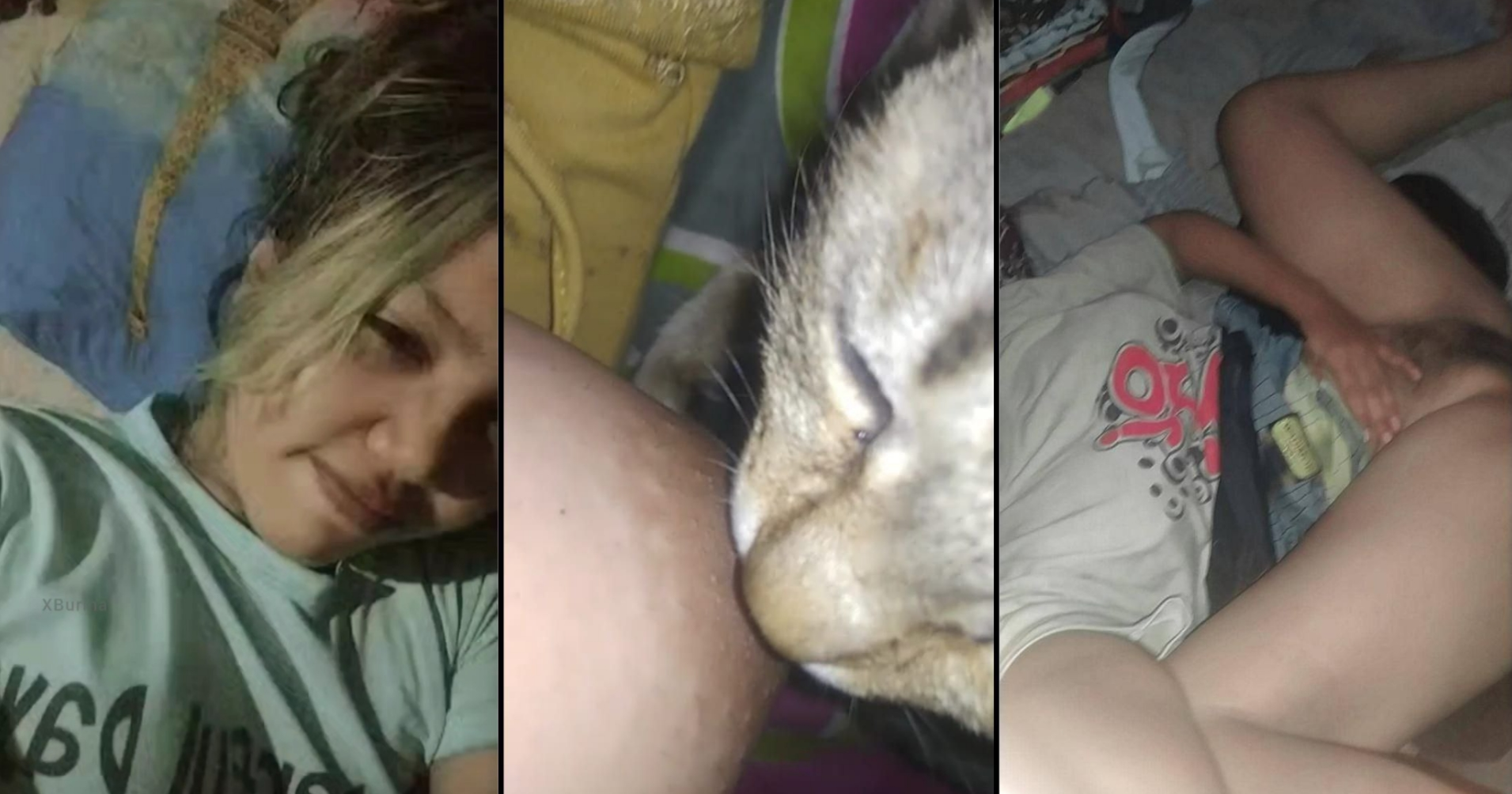 ပူစီကိုကြွေးတဲ့ဆော်